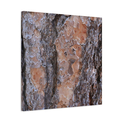 Terracotta Textures - Unique Frameless Canvas Wall Art - Art By Earth