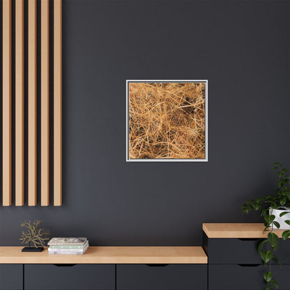 Dried Grass - Unique Stretched Canvas Wall Art - Art By Earth