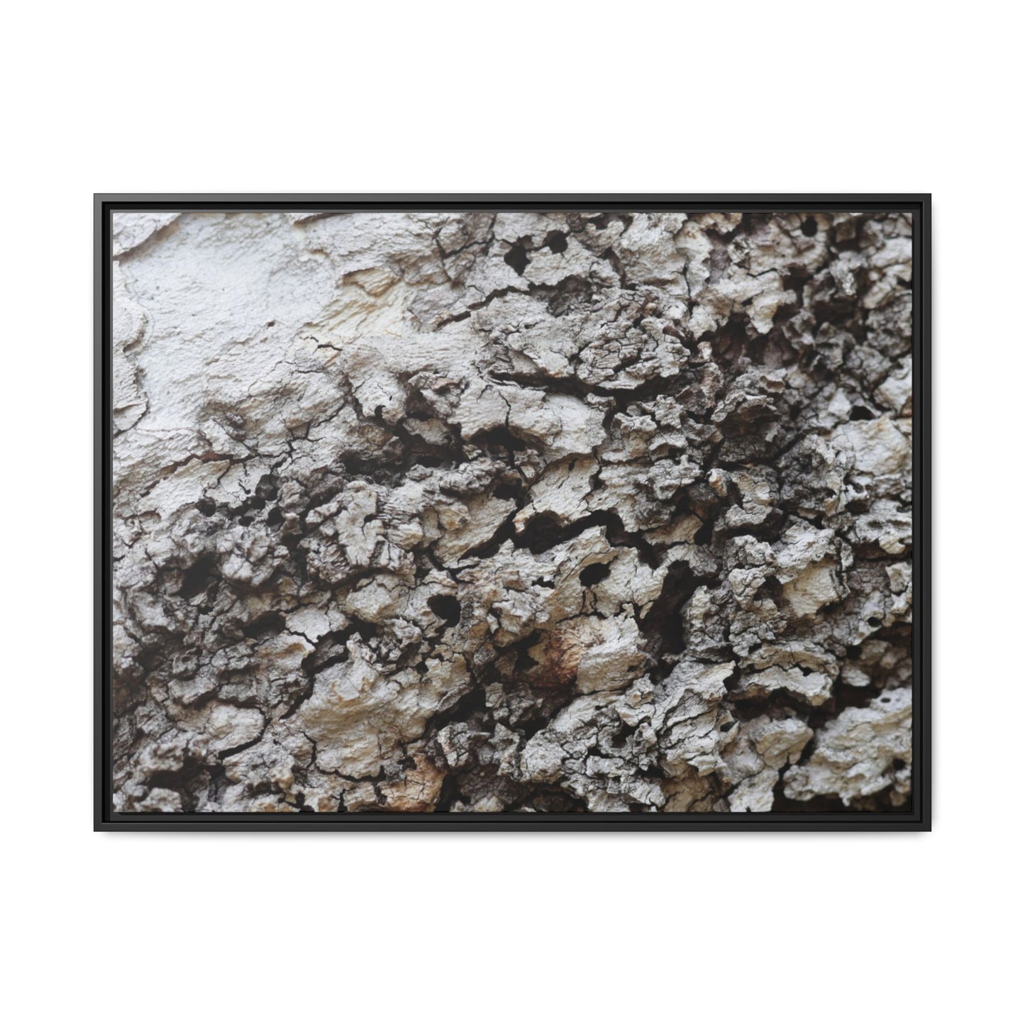 Cracked Terrain - Unique Stretched Canvas Wall Art - Art By Earth