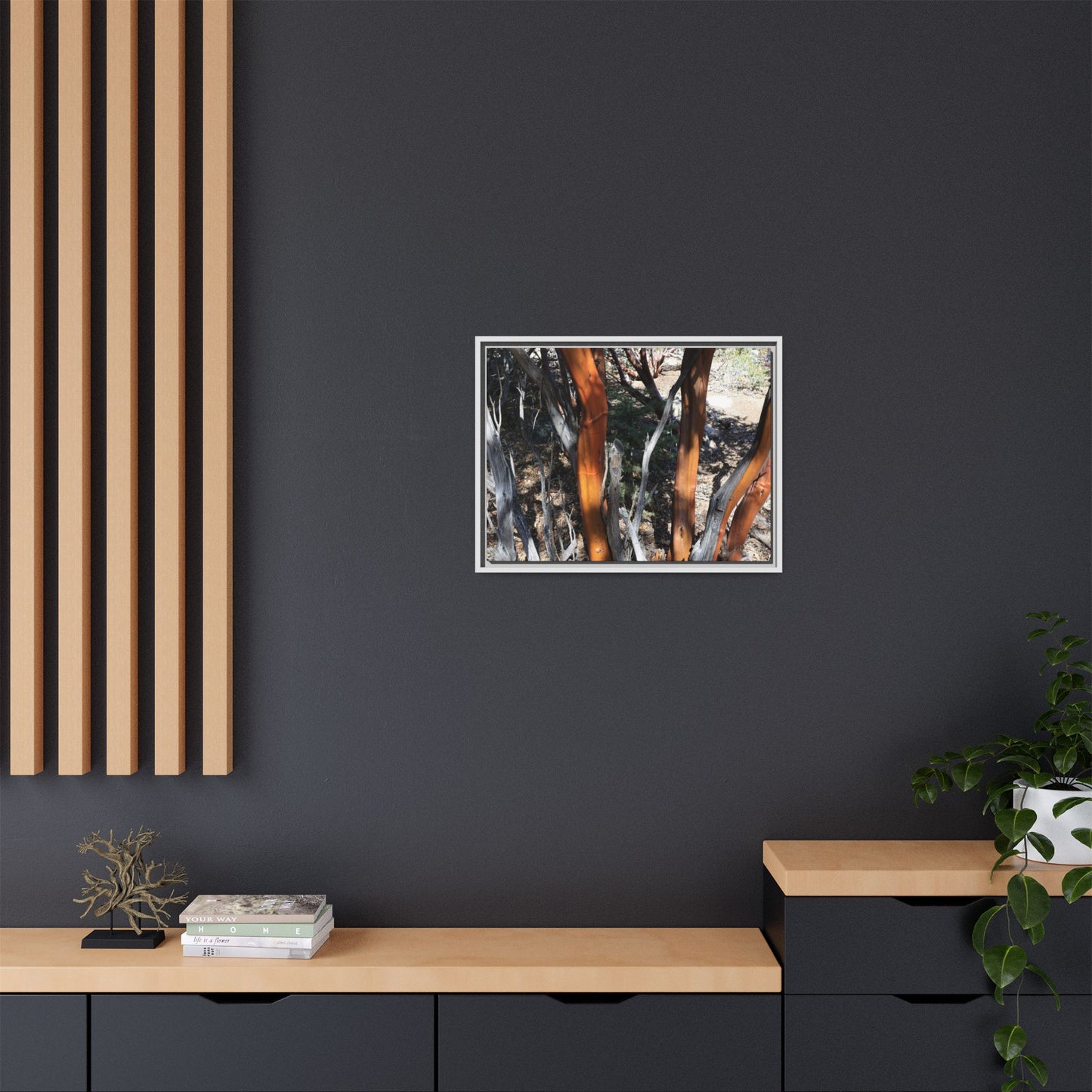 Eucalyptus Grove - Unique Stretched Canvas Wall Art