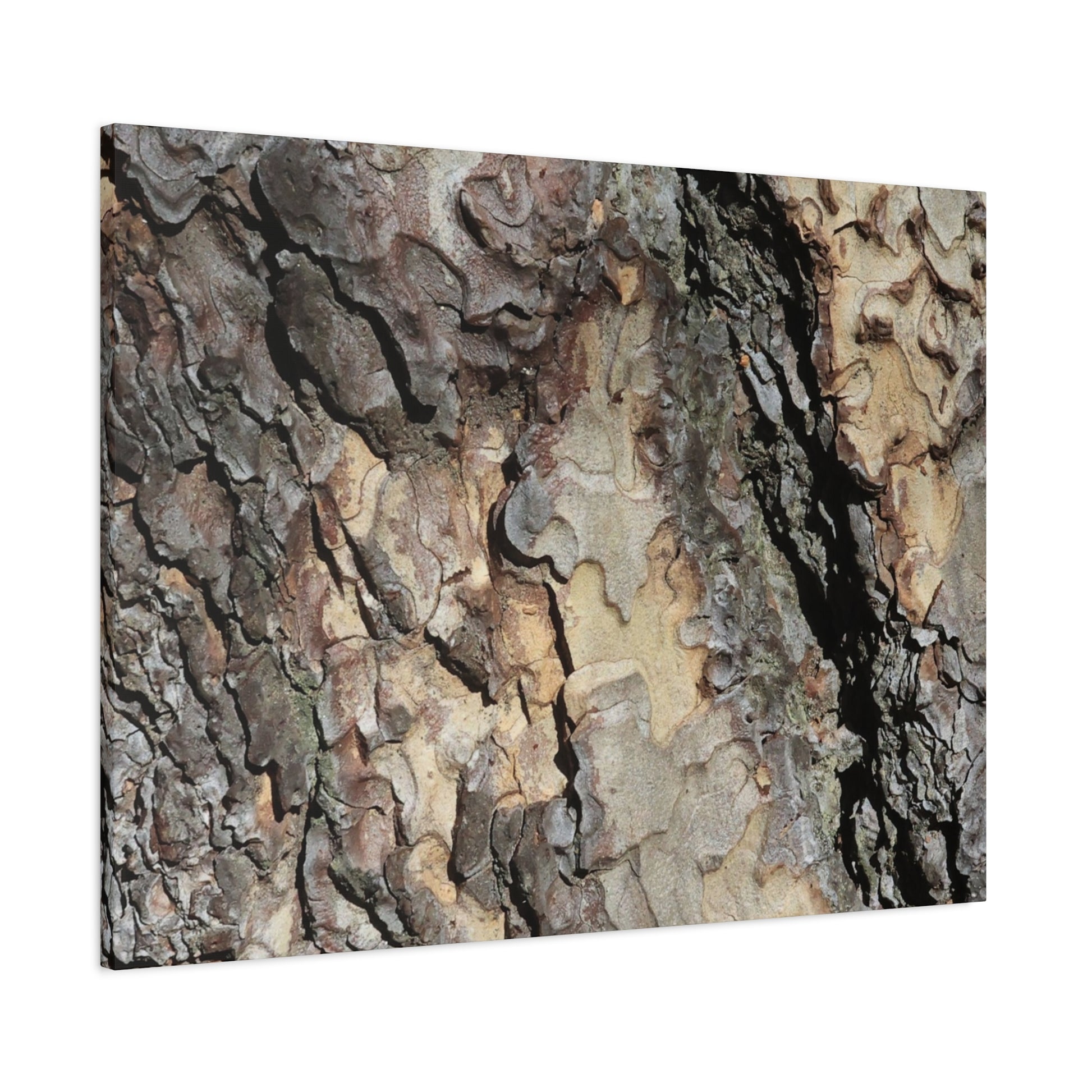 Tree Bark Symphony - Unique Frameless Canvas Wall Art - Art By Earth