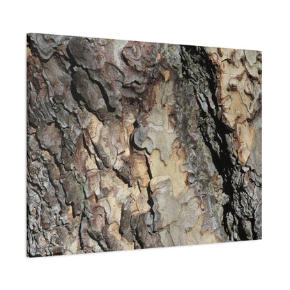 Tree Bark Symphony - Unique Frameless Canvas Wall Art - Art By Earth