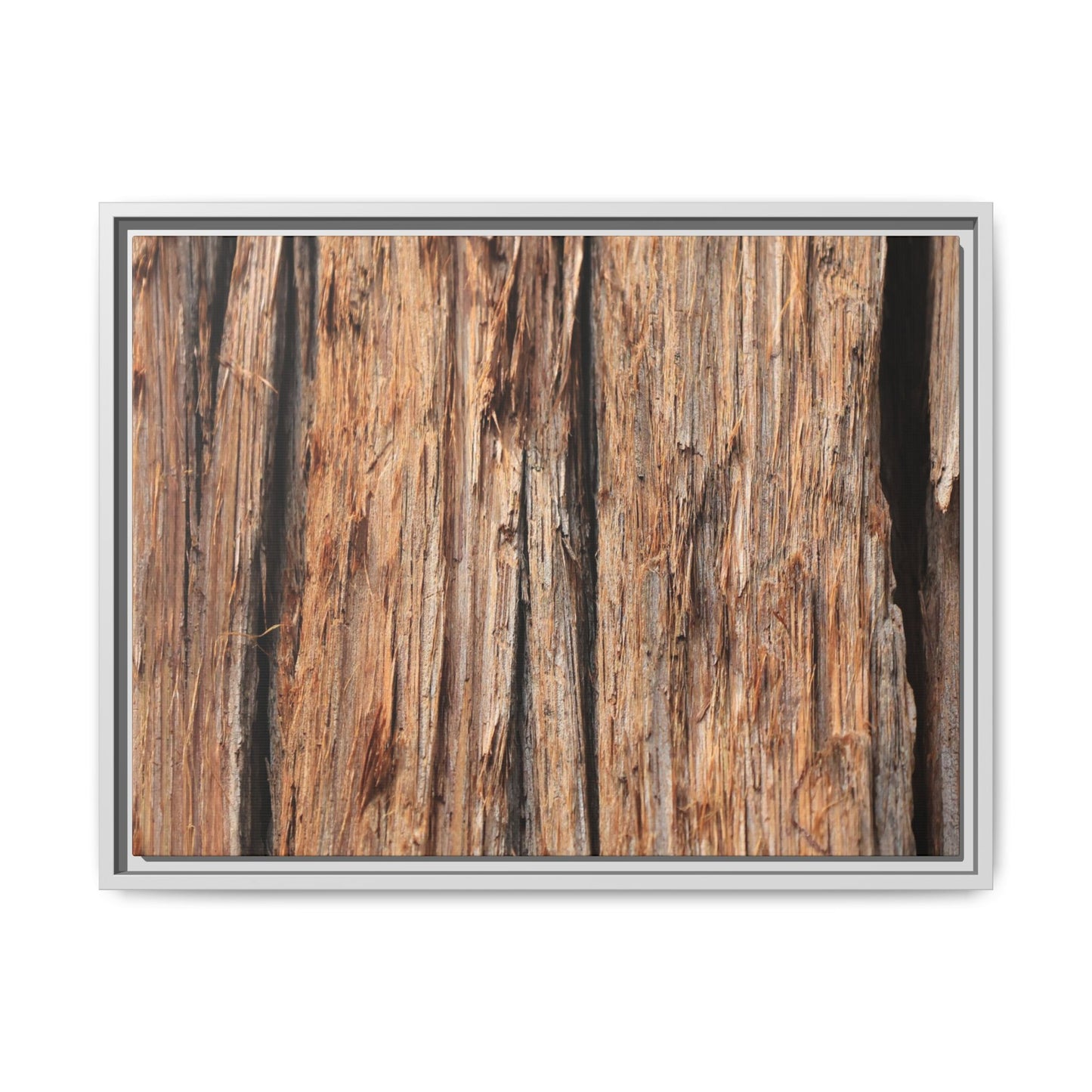 Timber Echoes - Unique Stretched Canvas Wall Art - Art By Earth