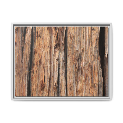 Timber Echoes - Unique Stretched Canvas Wall Art - Art By Earth