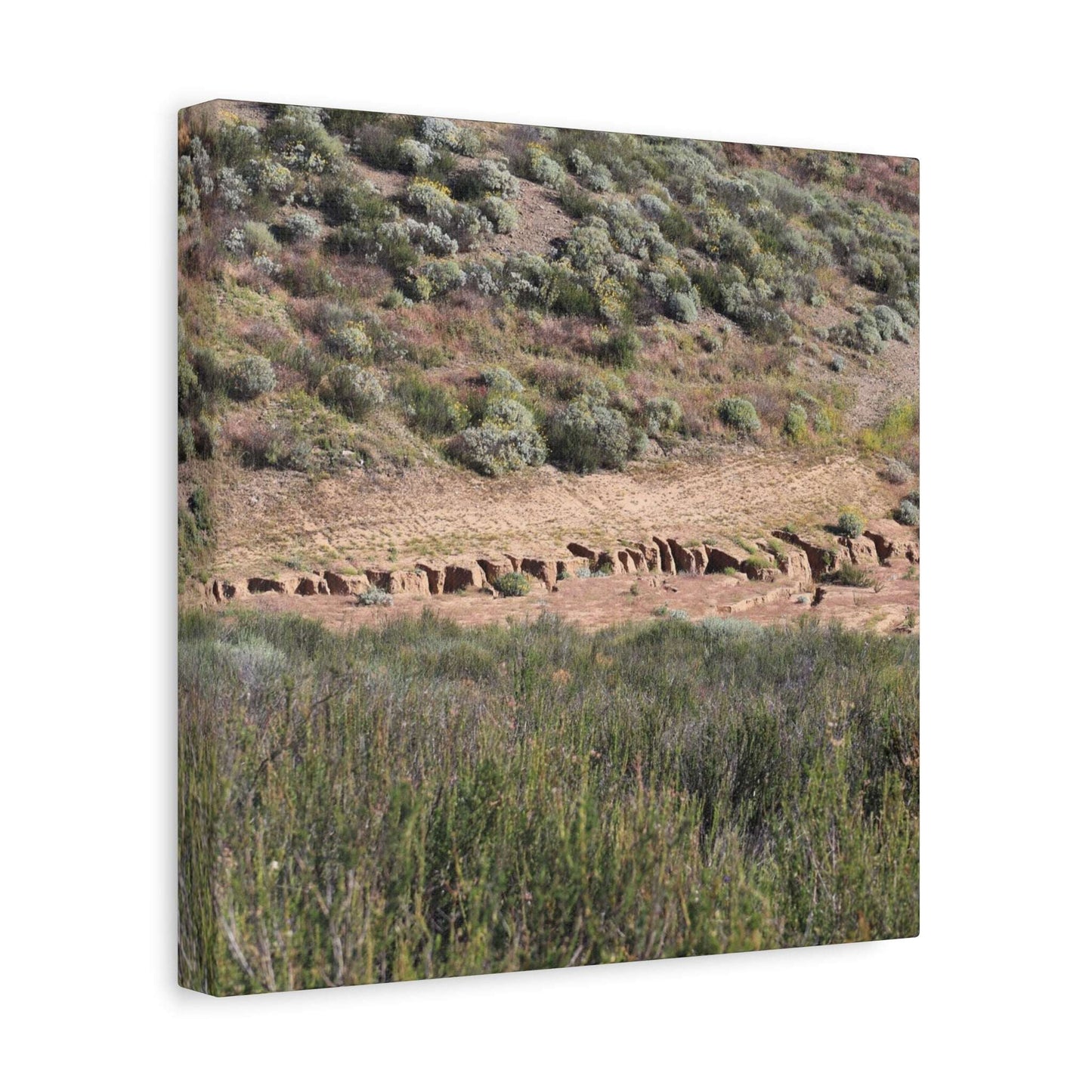 Ancient Dwellings in the Desert Valley - Unique Frameless Canvas Wall Art - Art By Earth