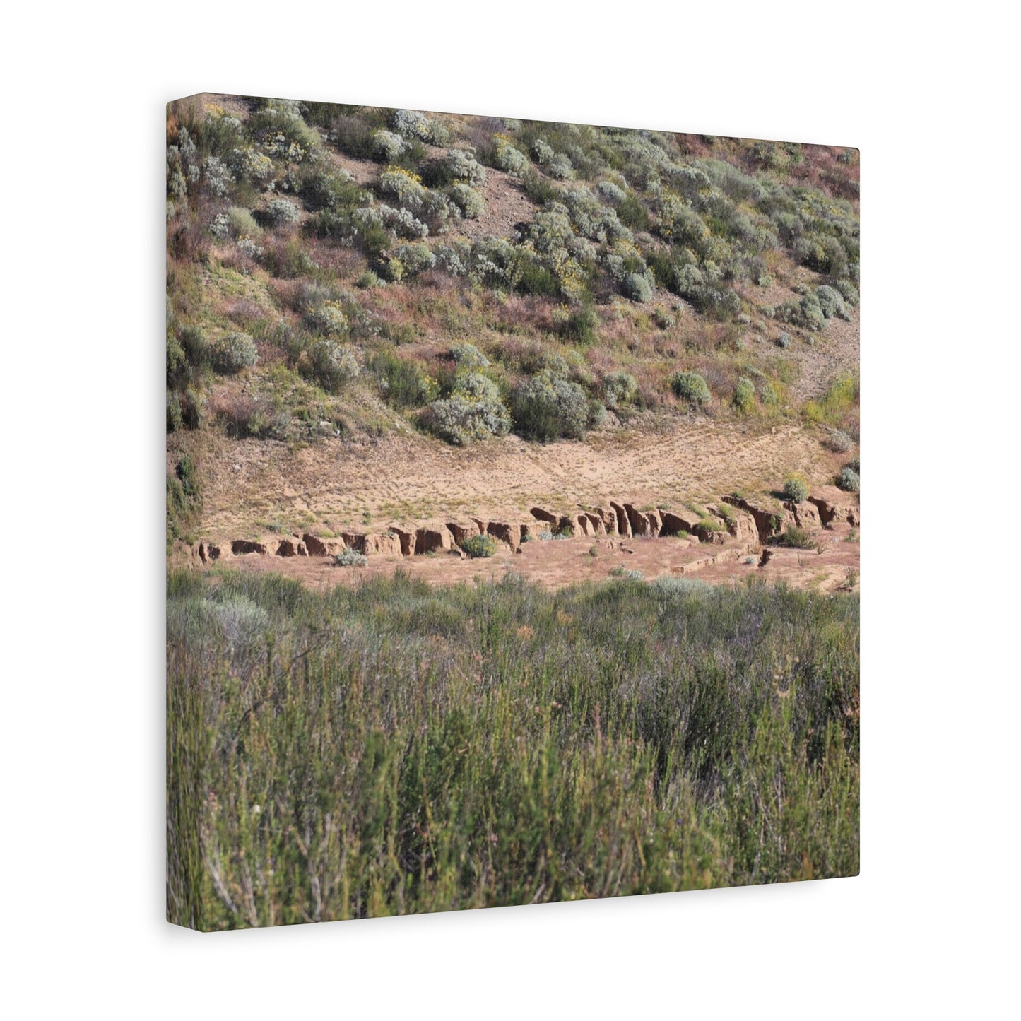 Ancient Dwellings in the Desert Valley - Unique Frameless Canvas Wall Art - Art By Earth