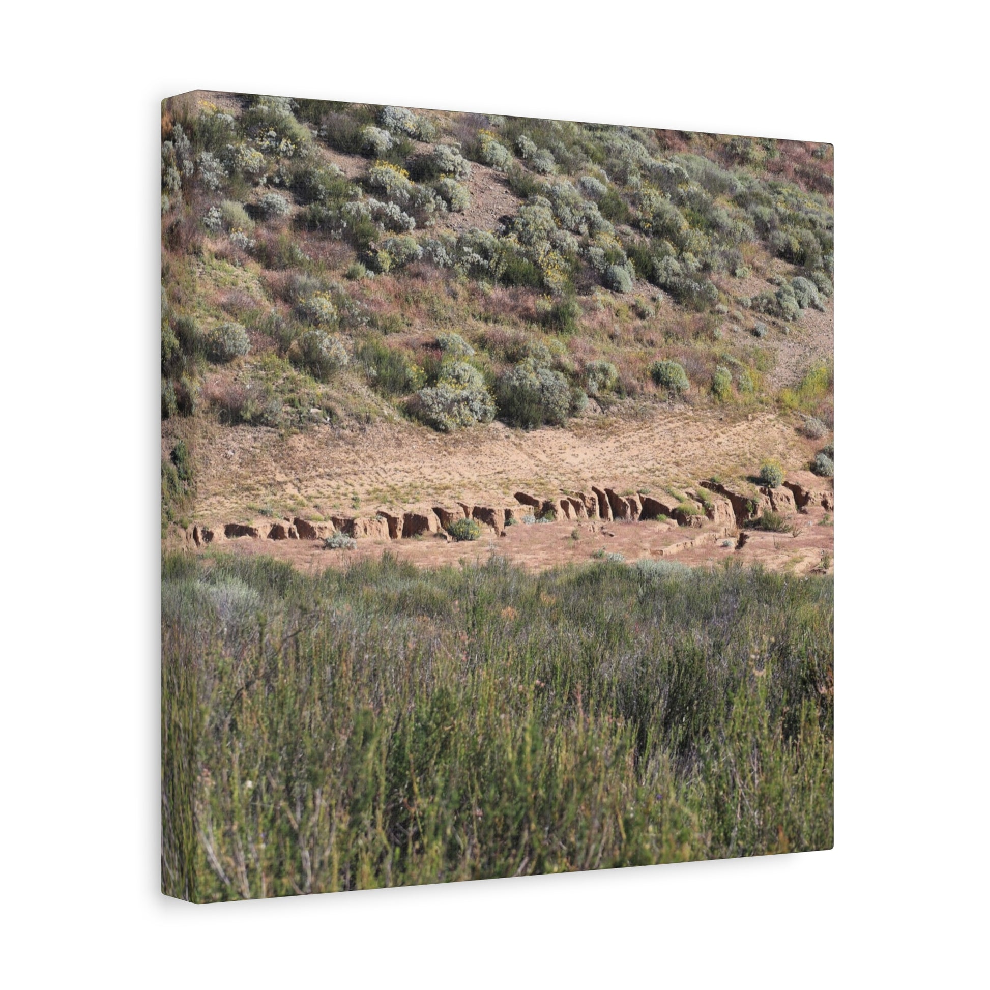 Ancient Dwellings in the Desert Valley - Unique Frameless Canvas Wall Art - Art By Earth