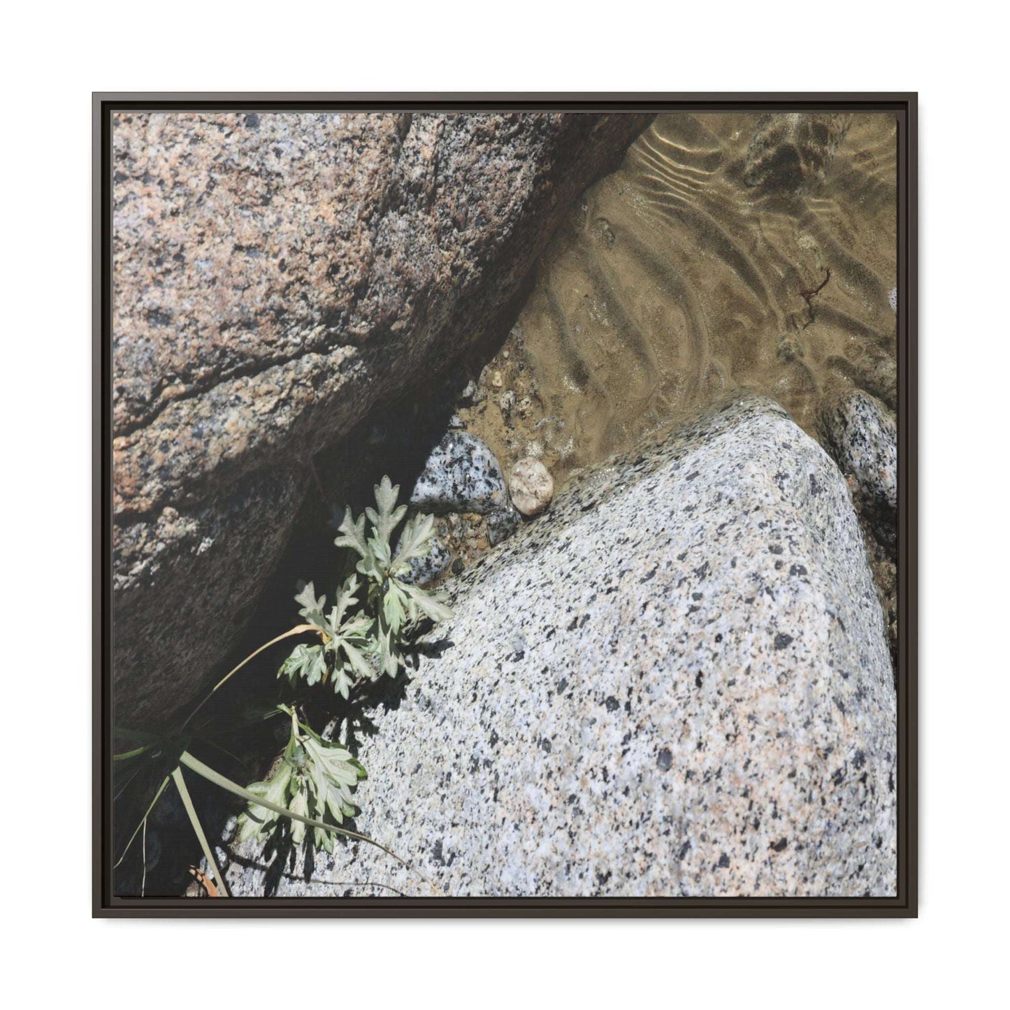 Resilience in Stone - Unique Stretched Canvas Wall Art - Art By Earth