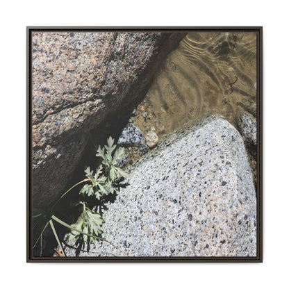 Resilience in Stone - Unique Stretched Canvas Wall Art - Art By Earth