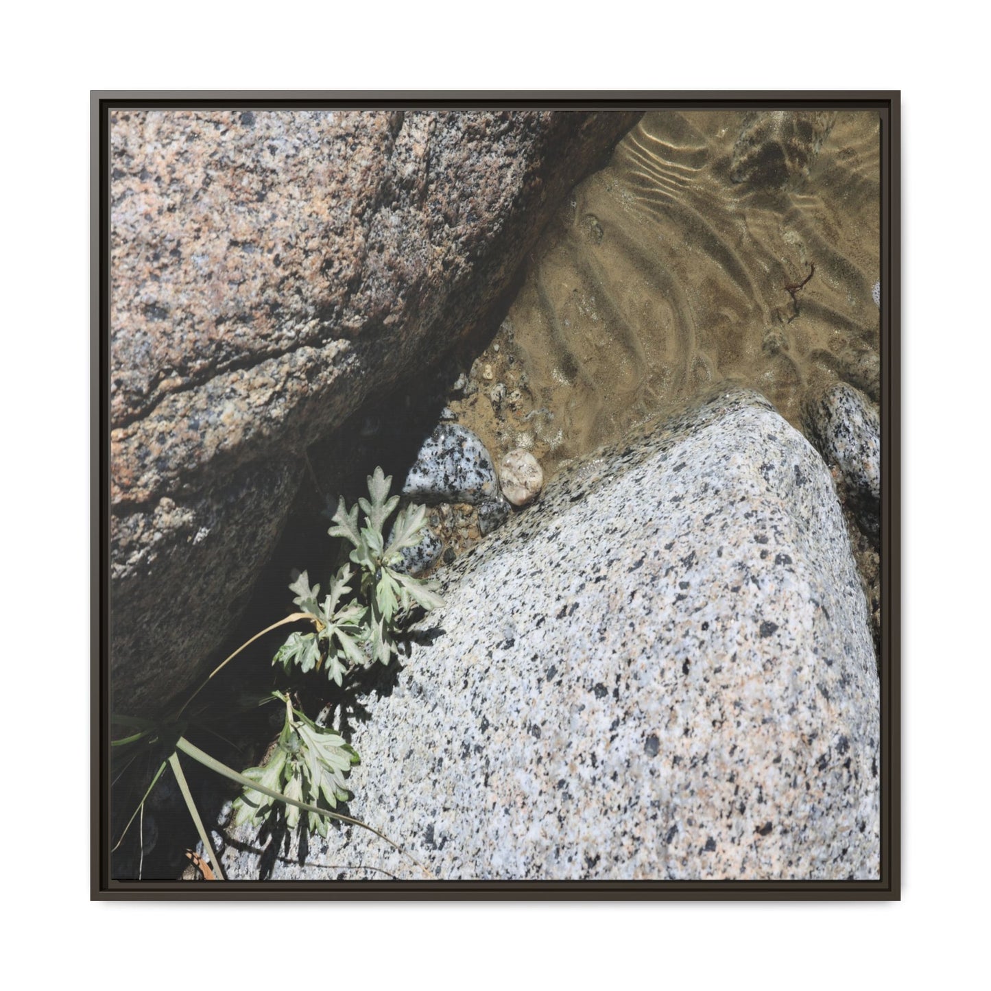 Resilience in Stone - Unique Stretched Canvas Wall Art - Art By Earth