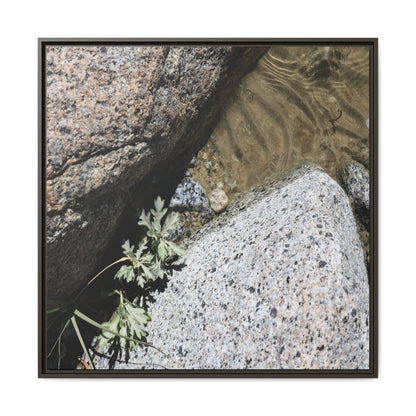 Resilience in Stone - Unique Stretched Canvas Wall Art - Art By Earth