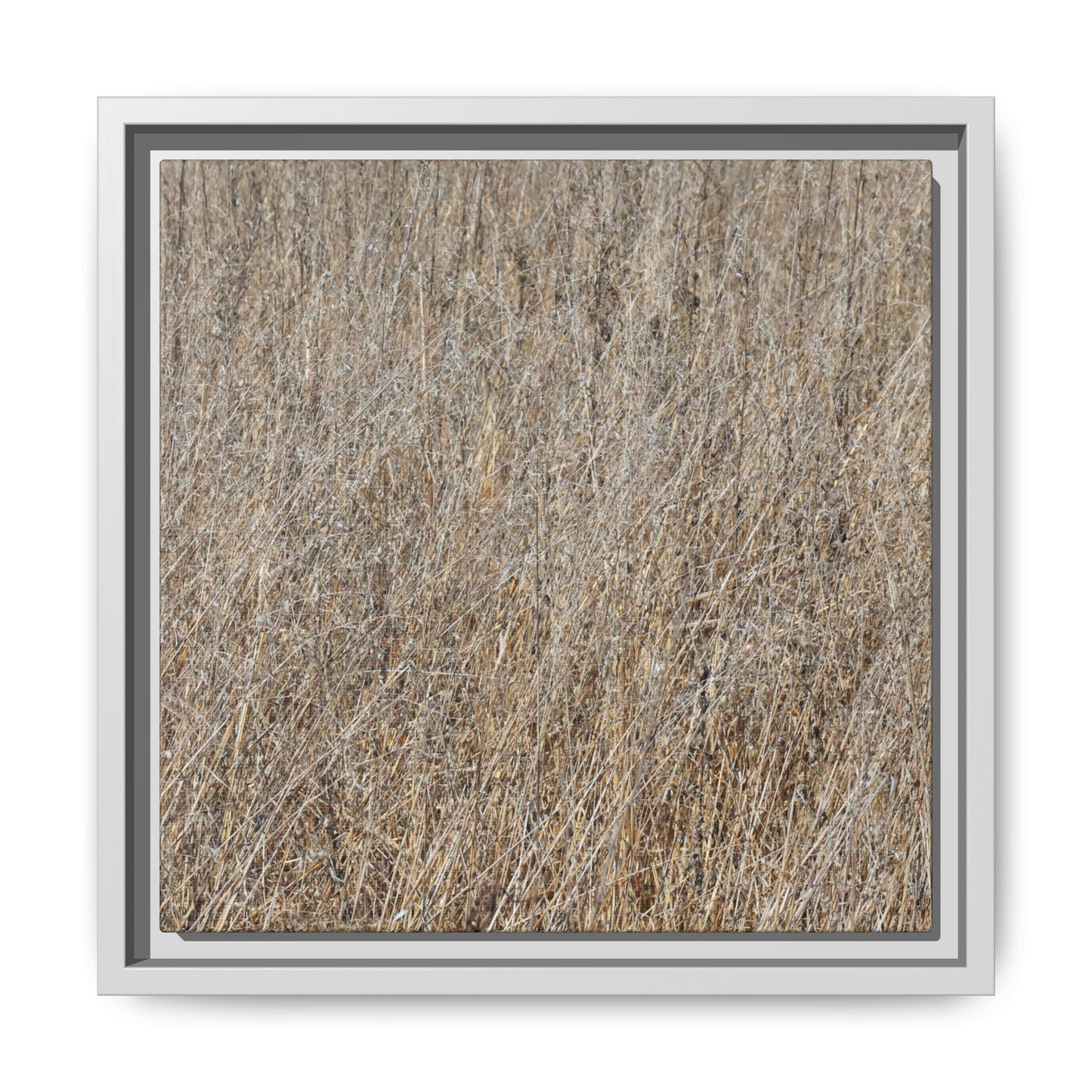 Dry Straw Symphony - Unique Stretched Canvas Wall Art - Art By Earth