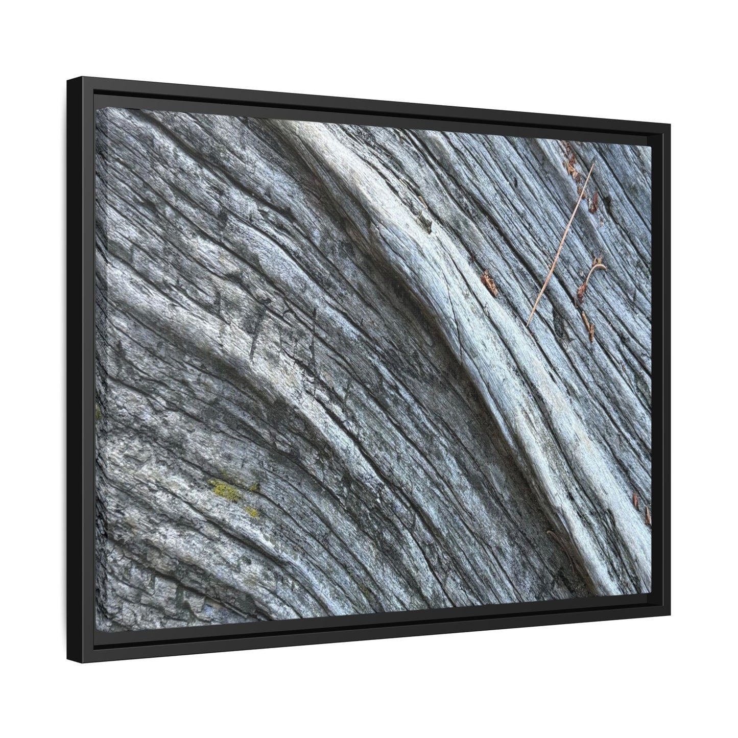 Aged Timber - Unique Stretched Canvas Wall Art - Art By Earth