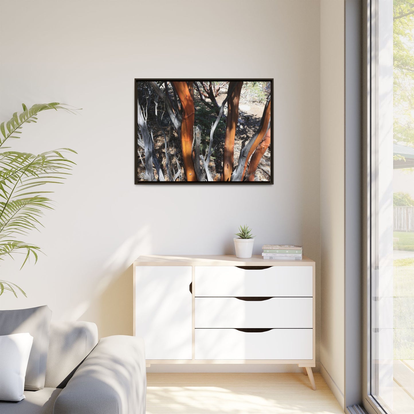 Eucalyptus Grove - Unique Stretched Canvas Wall Art