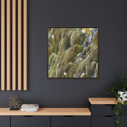 Moss Symphony - Unique Stretched Canvas Wall Art
