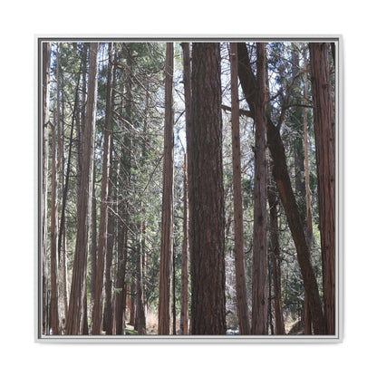 Forest Cathedral - Unique Stretched Canvas Wall Art - Art By Earth