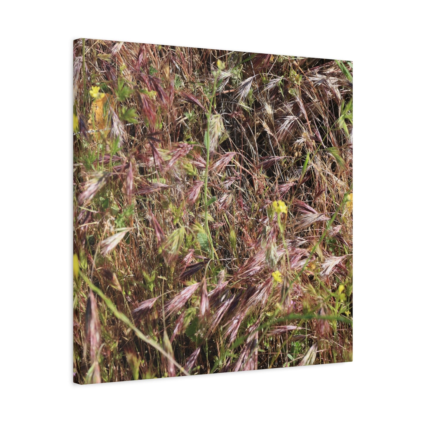 Autumn Wildflower Meadow in Transition - Unique Frameless Canvas Wall Art - Art By Earth
