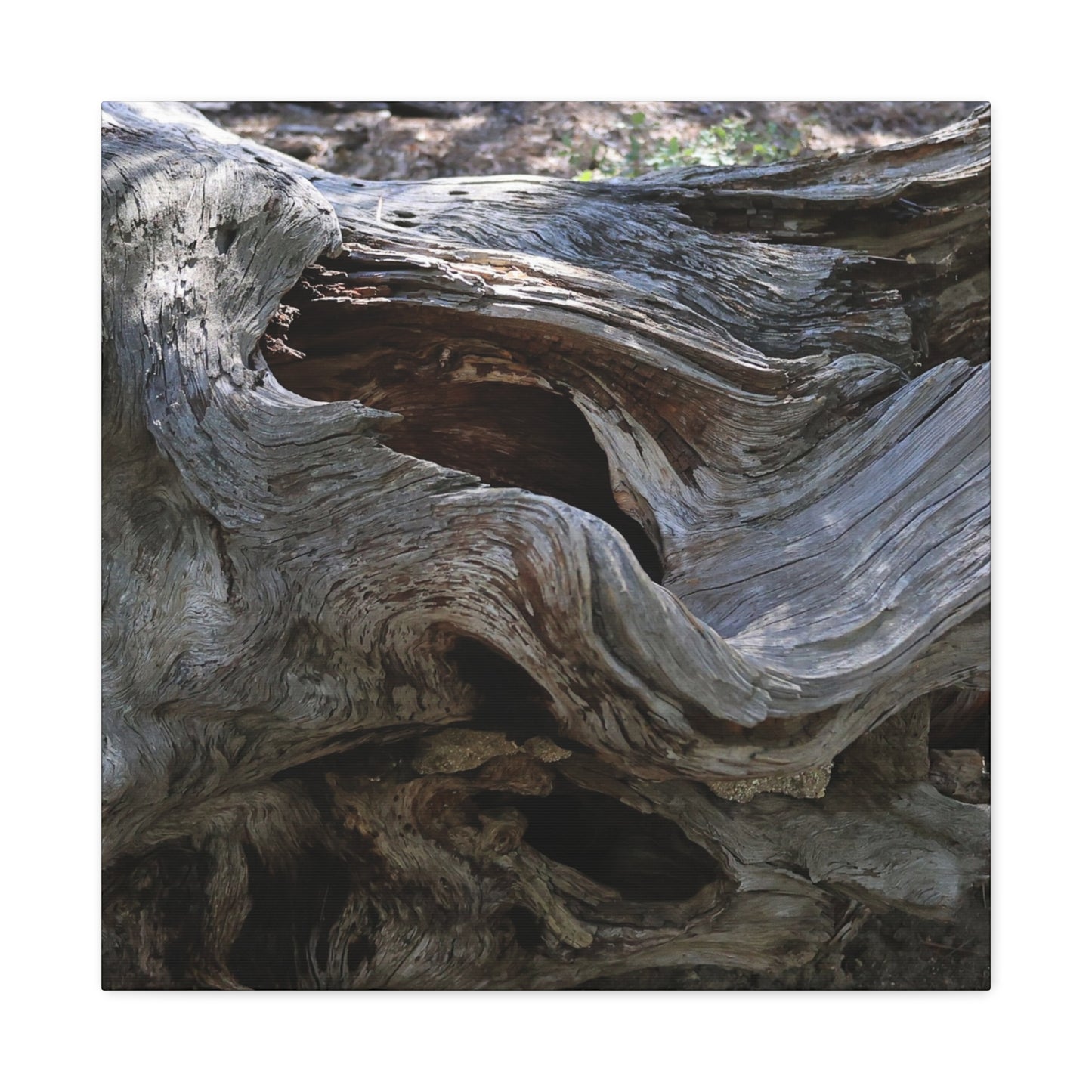 Twisted Fate - Unique Frameless Canvas Wall Art - Art By Earth