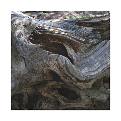 Twisted Fate - Unique Frameless Canvas Wall Art - Art By Earth