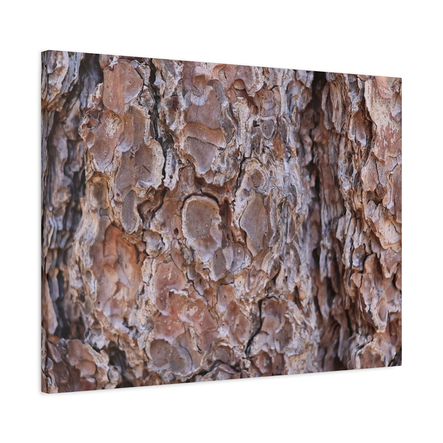 Rugged Bark Landscape - Unique Frameless Canvas Wall Art - Art By Earth