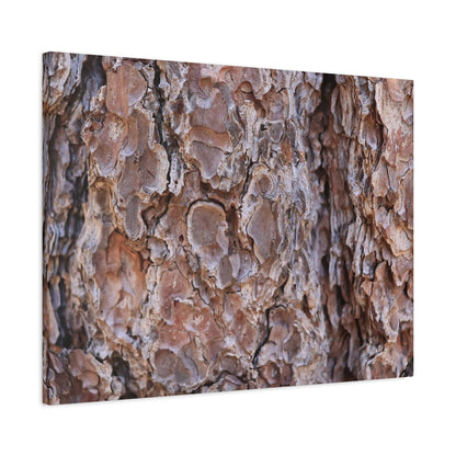 Rugged Bark Landscape - Unique Frameless Canvas Wall Art - Art By Earth