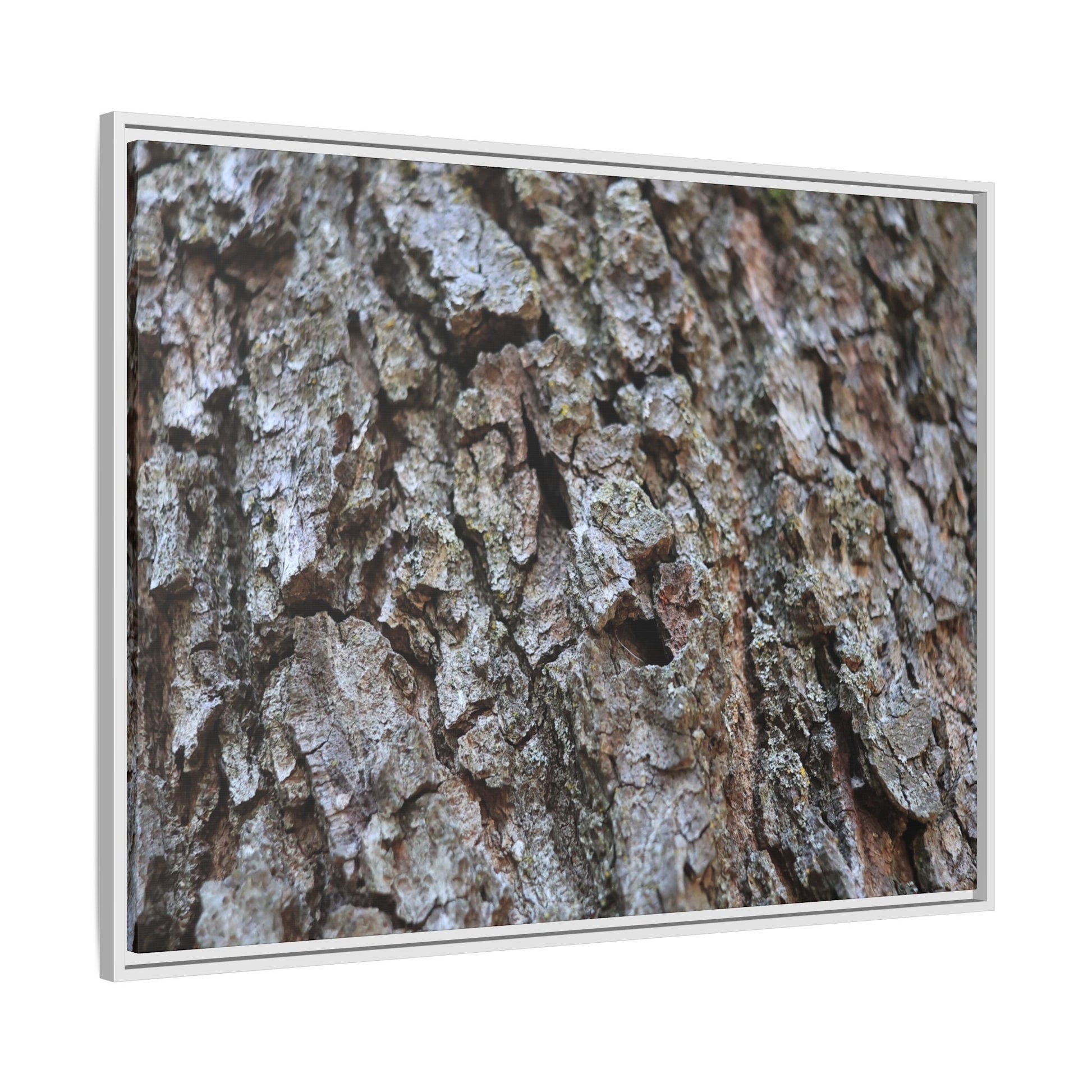 Woodland Canvas - Unique Stretched Canvas Wall Art - Art By Earth
