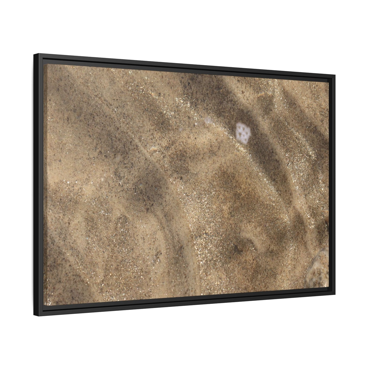 Underwater Sand Exploration - Unique Stretched Canvas Wall Art - Art By Earth