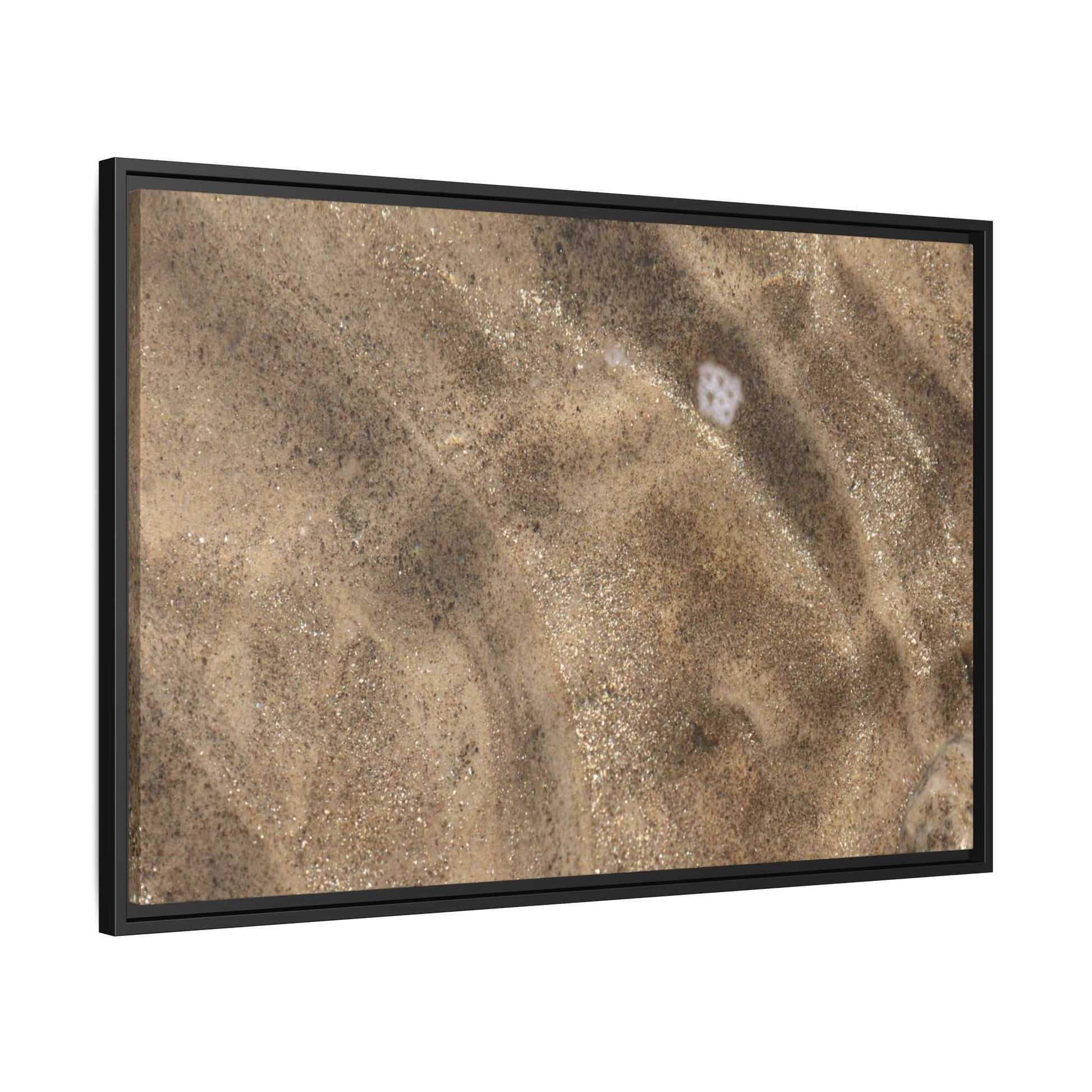Underwater Sand Exploration - Unique Stretched Canvas Wall Art - Art By Earth