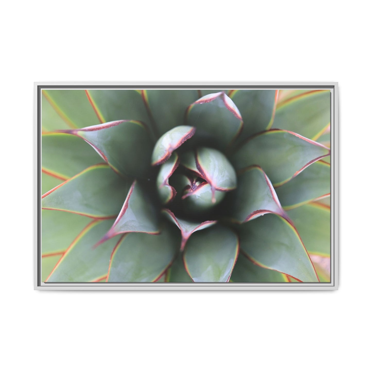 Spiky Elegance - Unique Stretched Canvas Wall Art - Art By Earth