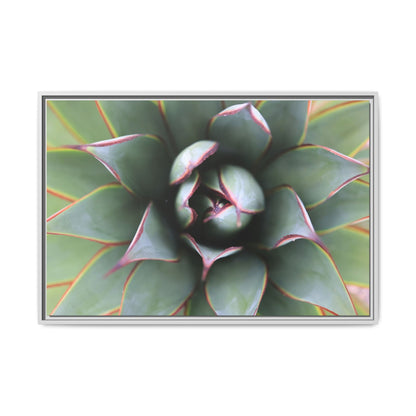 Spiky Elegance - Unique Stretched Canvas Wall Art - Art By Earth