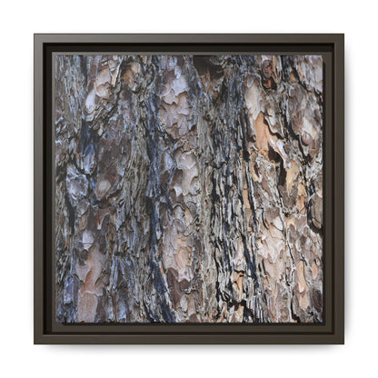 Weathered Patterns - Unique Stretched Canvas Wall Art - Art By Earth