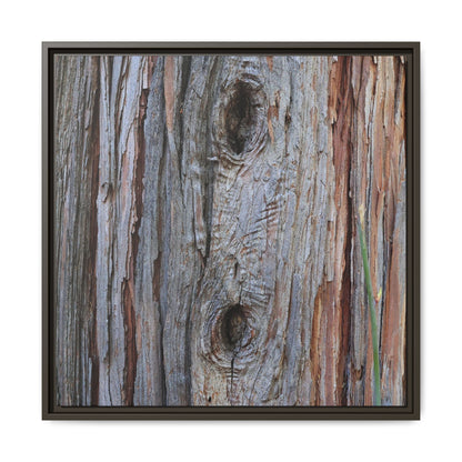 Knotty Nature - Unique Stretched Canvas Wall Art - Art By Earth