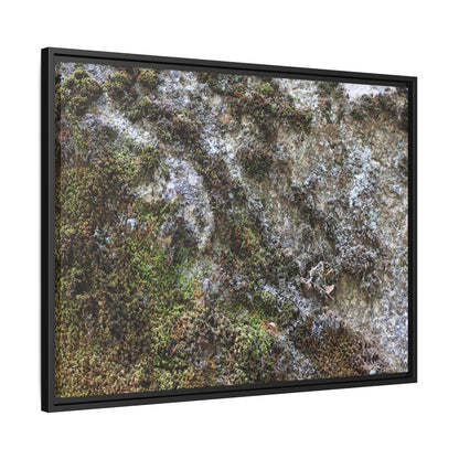 Mossy Whispers - Unique Stretched Canvas Wall Art - Art By Earth