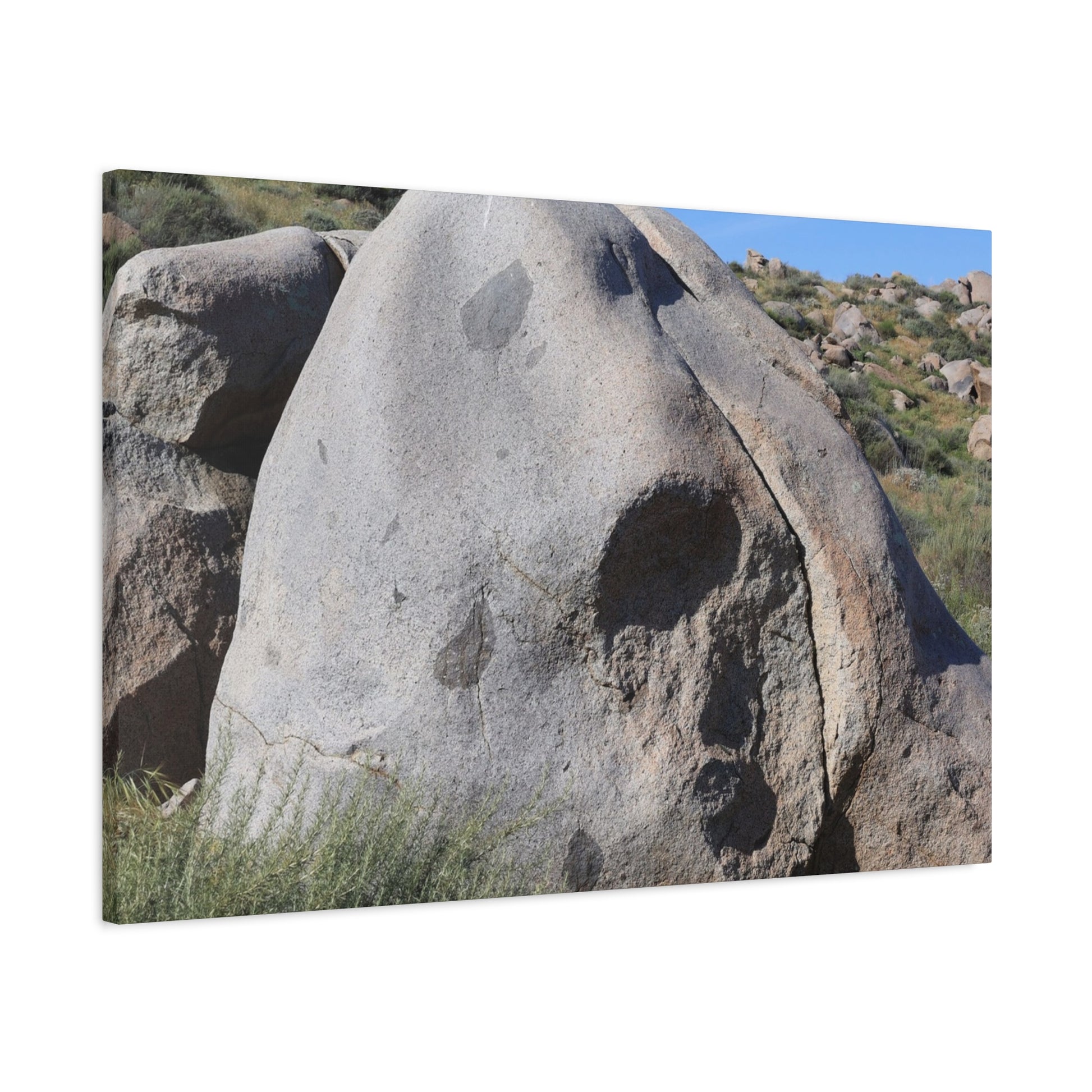 Skull Rock - Unique Frameless Canvas Wall Art - Art By Earth
