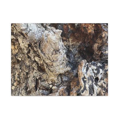 Weathered Bark Texture - Unique Frameless Canvas Wall Art - Art By Earth
