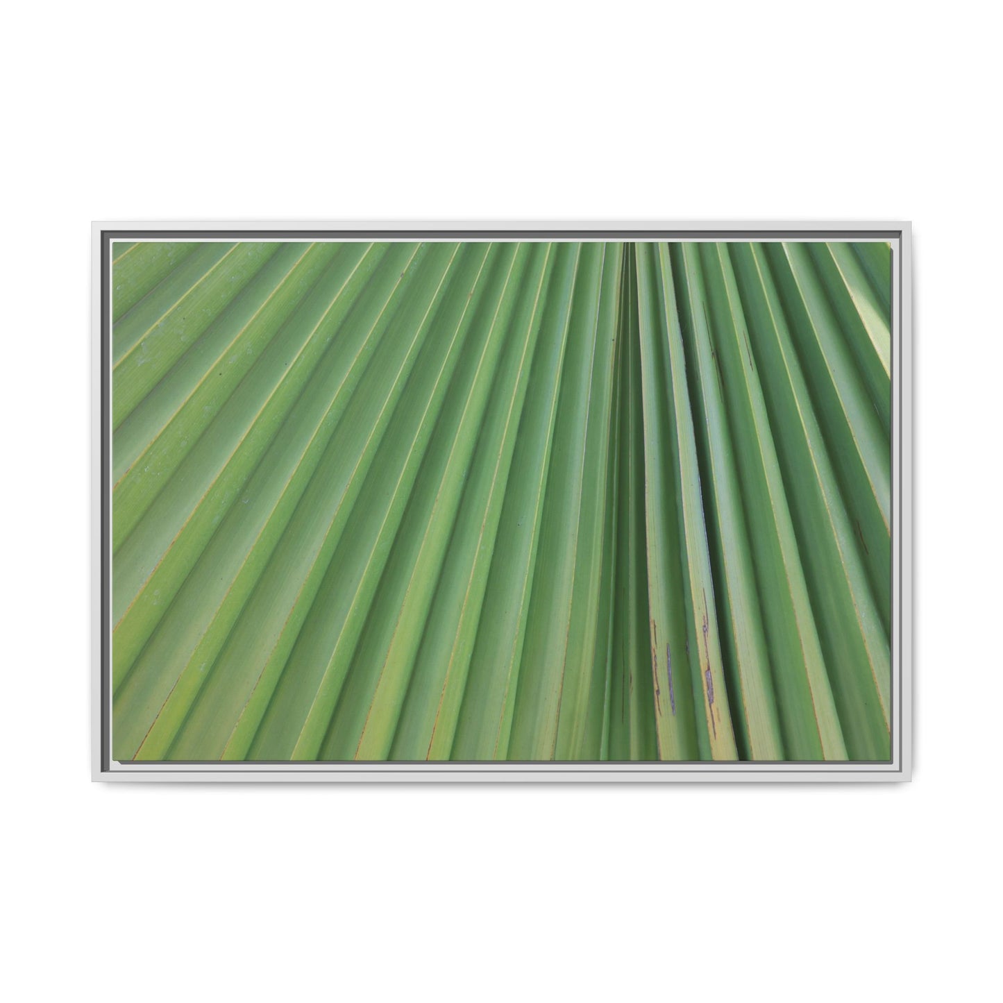 Emerald Rays - Unique Stretched Canvas Wall Art - Art By Earth