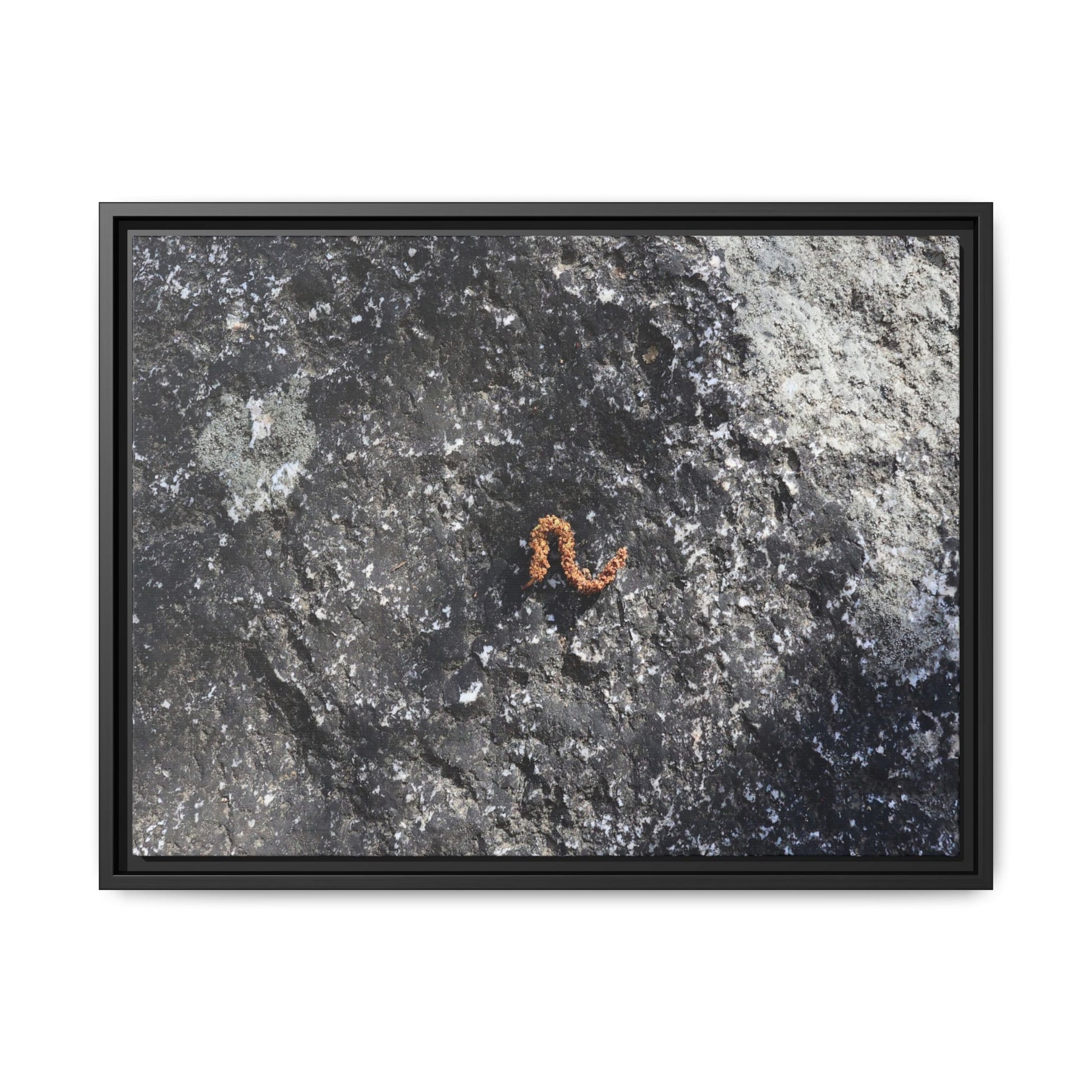Volcanic Ash and Copper - Unique Stretched Canvas Wall Art - Art By Earth