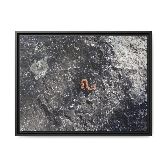 Volcanic Ash and Copper - Unique Stretched Canvas Wall Art - Art By Earth