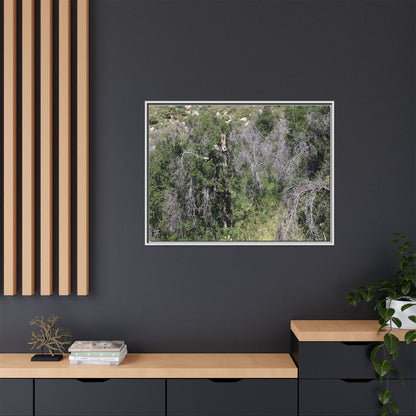 Forest Decline - Unique Stretched Canvas Wall Art