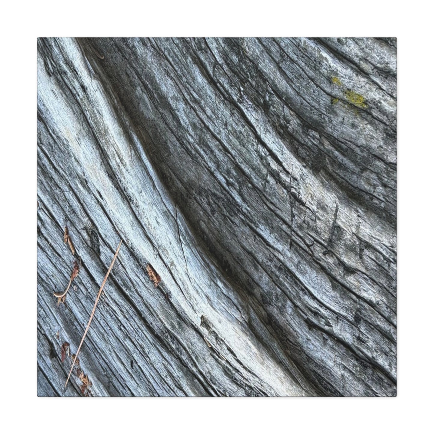 Weathered Wood Grain - Unique Frameless Canvas Wall Art - Art By Earth