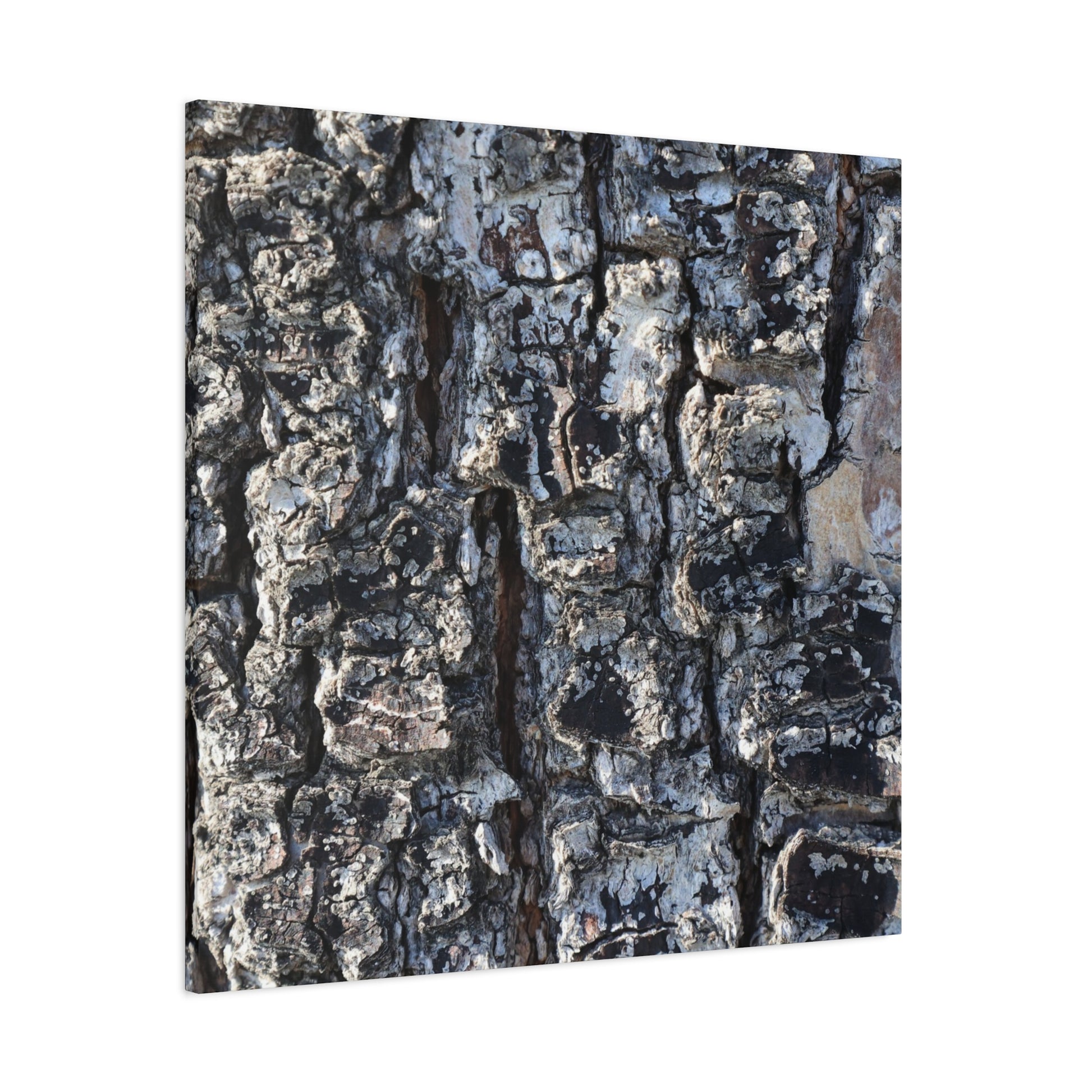 Textured Whispers of the Ancient Tree - Unique Frameless Canvas Wall Art - Art By Earth