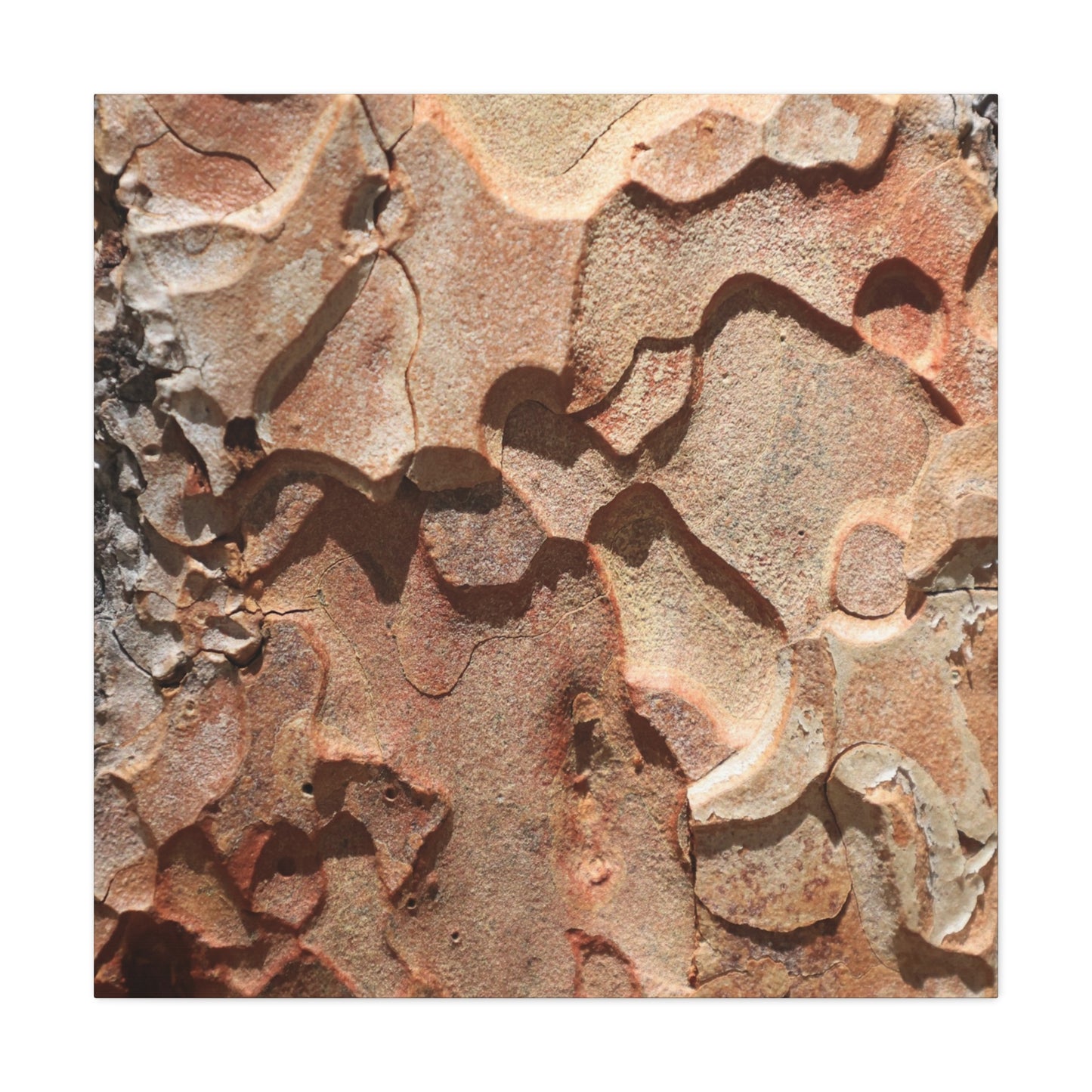 Terracotta Echoes - Unique Frameless Canvas Wall Art - Art By Earth