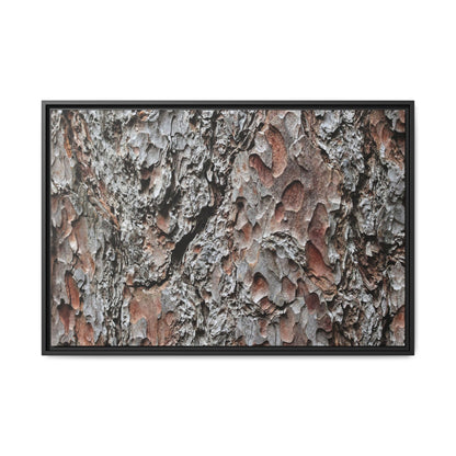 Bark Texture Symphony - Unique Stretched Canvas Wall Art - Art By Earth