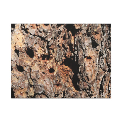 Tree Bark Mosaic - Unique Frameless Canvas Wall Art - Art By Earth