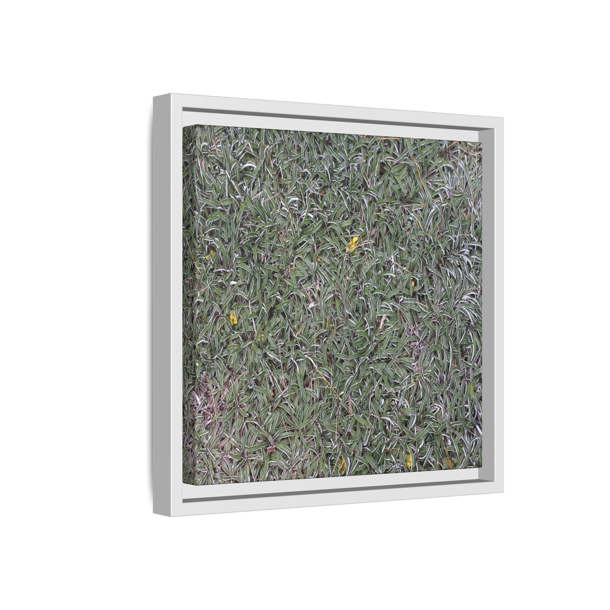 Grassy Texture - Unique Stretched Canvas Wall Art - Art By Earth