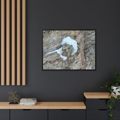 Lichen's Embrace - Unique Stretched Canvas Wall Art