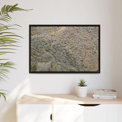 Arid Landscape with Winding Path - Unique Stretched Canvas Wall Art - Art By Earth