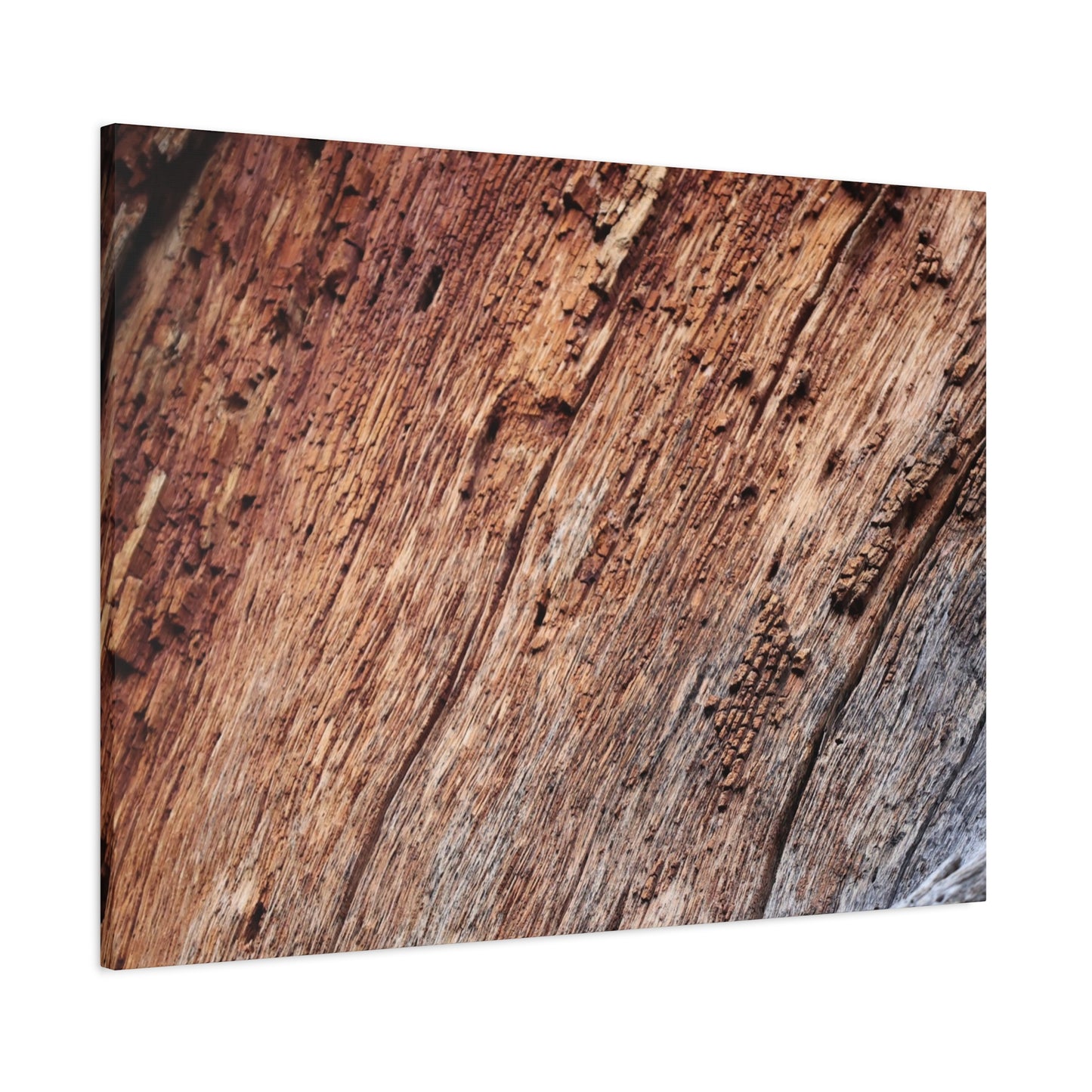 Natural Wood Grain - Unique Frameless Canvas Wall Art - Art By Earth