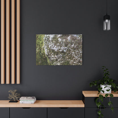 Moss and Stone Whispers - Unique Frameless Canvas Wall Art - Art By Earth