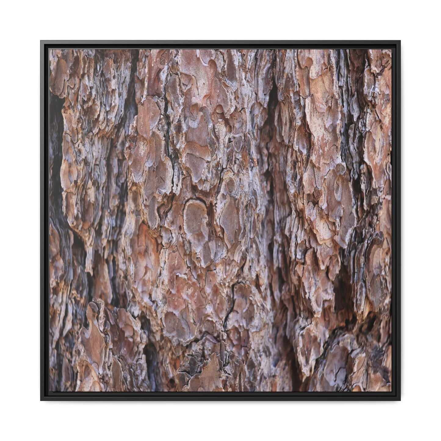 Woody Layers - Unique Stretched Canvas Wall Art - Art By Earth